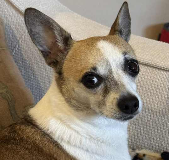 Photo of Sissy