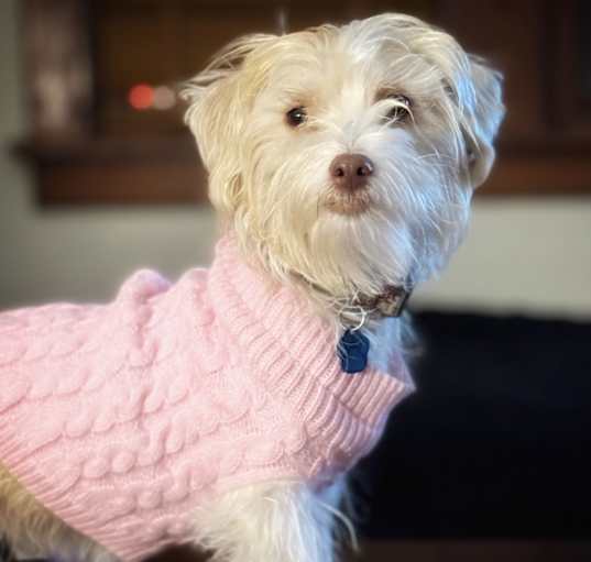 Photo of Sissy May-bee