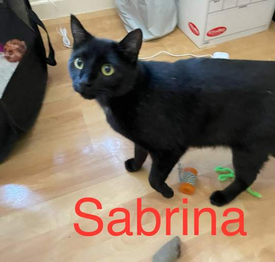 Photo of Sabrina