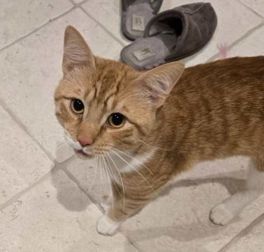 Photo of Charlie