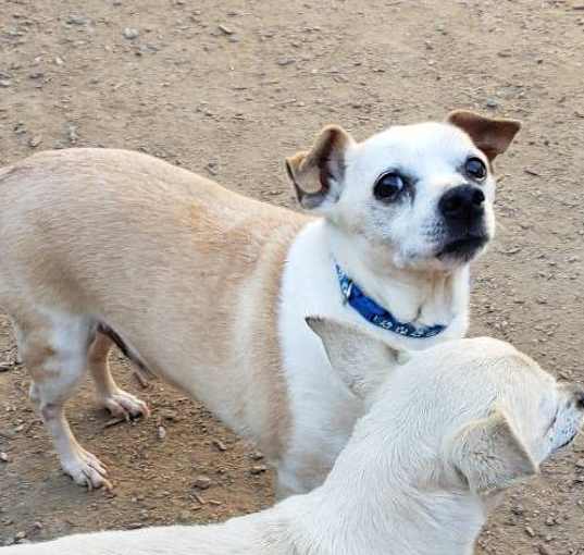 Photo of SAMSON