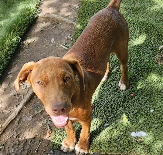 Photo of Caine