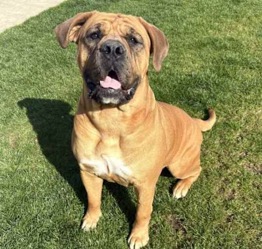 Photo of Coco