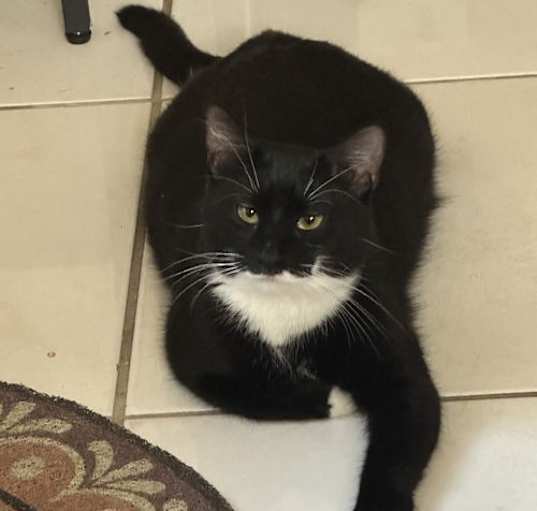 Photo of Maggie
