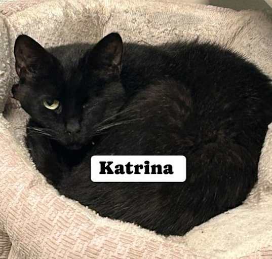 Photo of Katrina