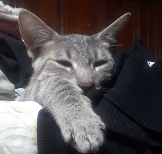 Photo of Max