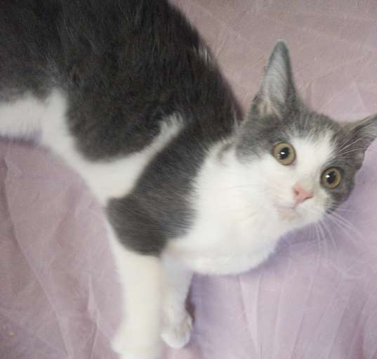 Photo of Asher