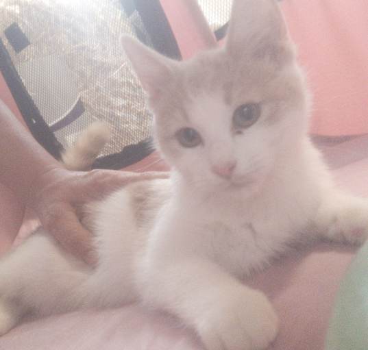 Photo of SPROUT