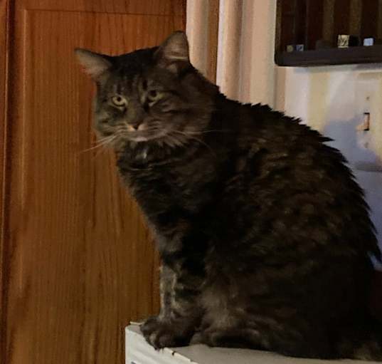 Photo of Sugar - Courtesy Post
