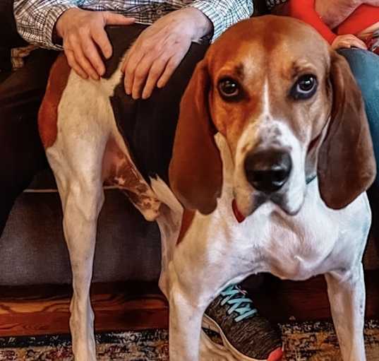 Photo of Wally
