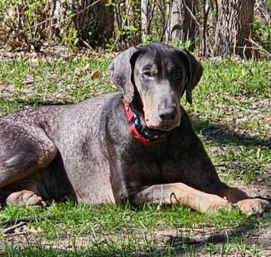 Photo of Aramis