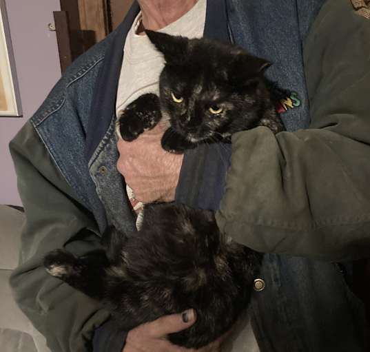 Photo of Torti