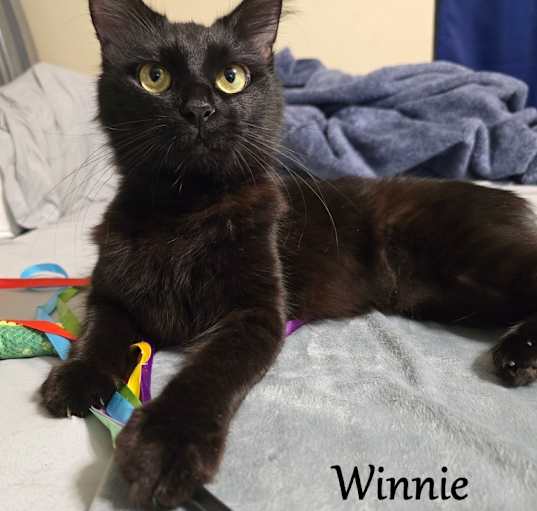 Photo of Winnie