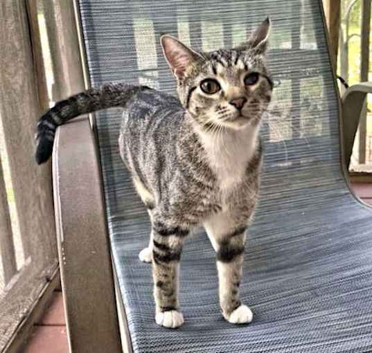 Photo of Stormy2