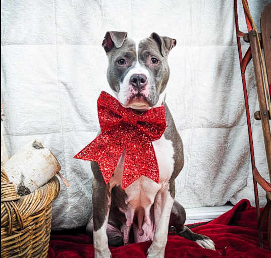 Photo of Mama Matilda