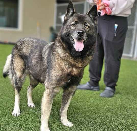 Photo of LADY