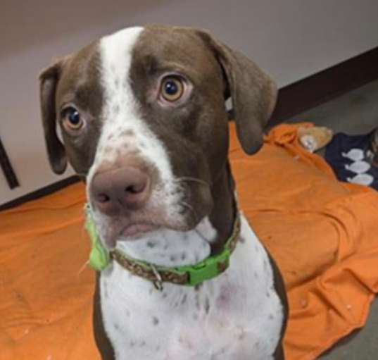 Photo of Coco