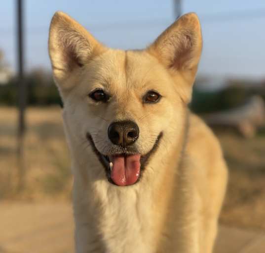 Photo of Gowoon