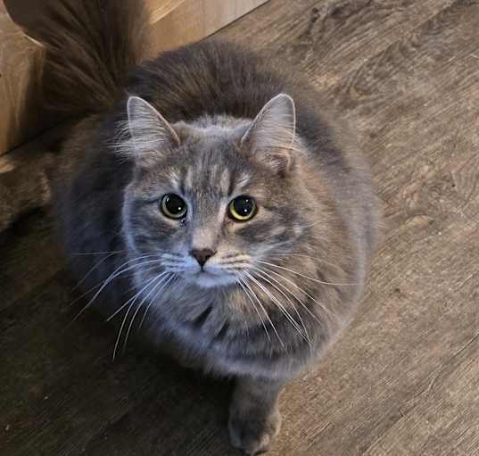 Photo of Mitsu