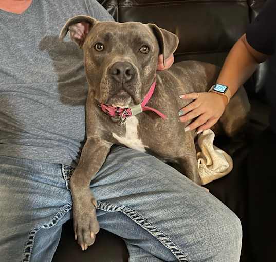Photo of Skye