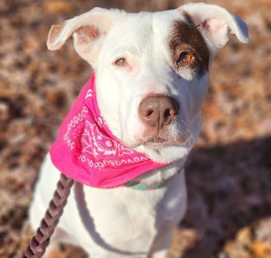 Photo of Maggie May