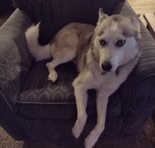 Photo of Lucy
