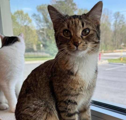 Photo of Minette