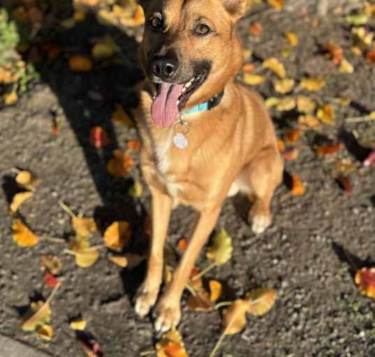 Photo of Zeus