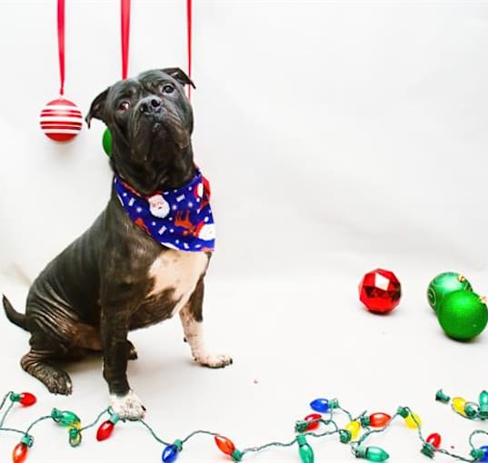 Photo of DIESEL