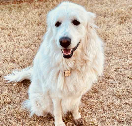 Photo of Kenai