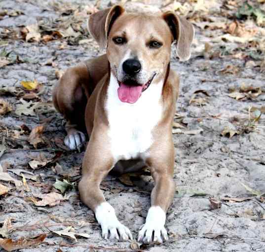 Photo of AIDEN