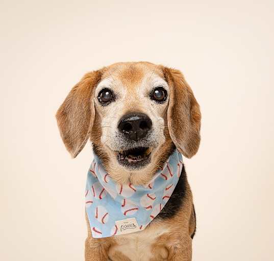 Photo of Morty