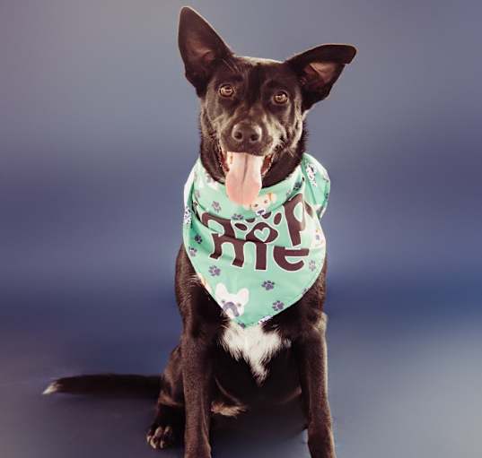 Photo of Beryl