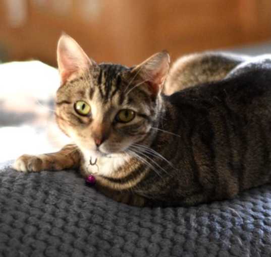 Photo of Gigi