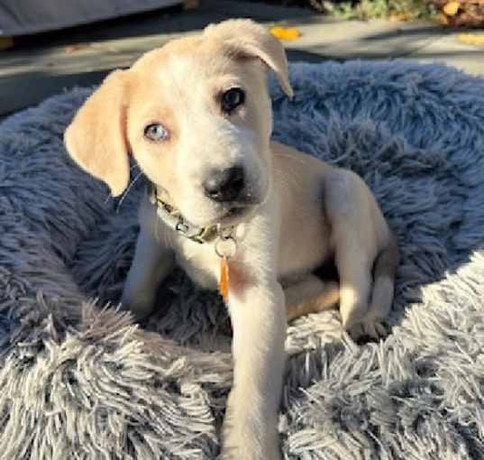 Photo of Elsa