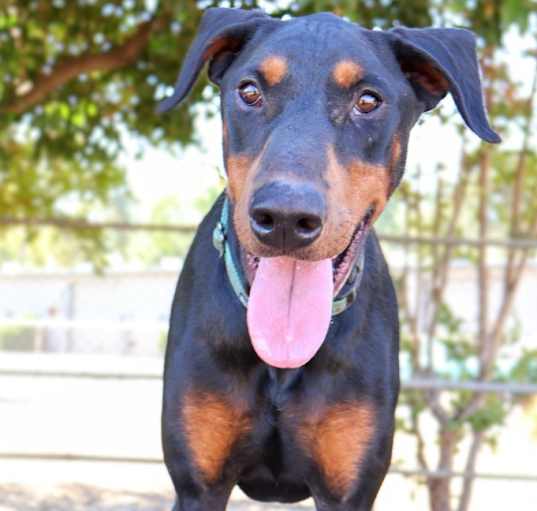 Photo of Jasper