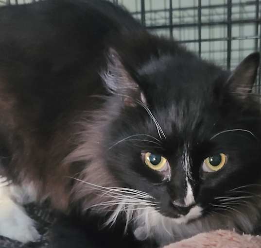 Photo of Olivia