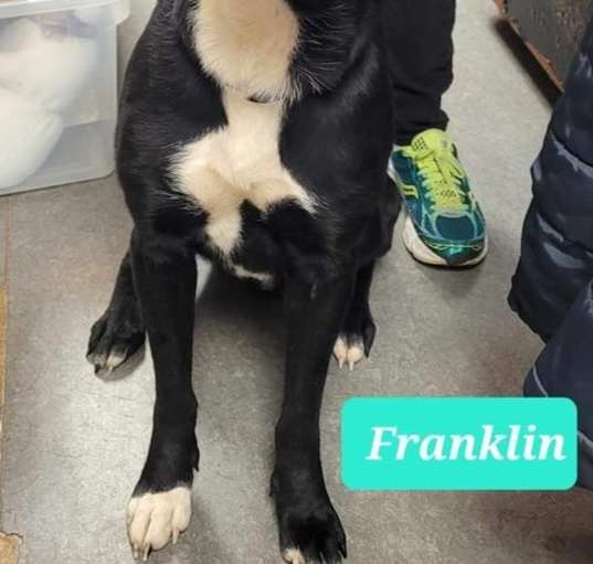Photo of Franklin