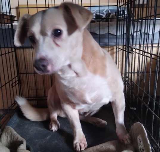 Photo of Bonnie