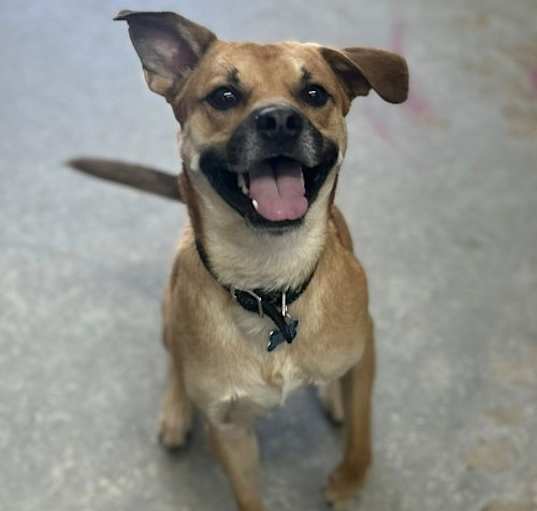 Photo of Teddy