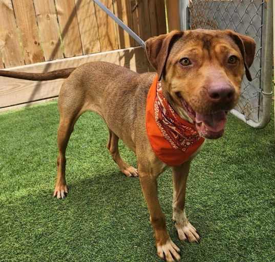 Photo of CANELA