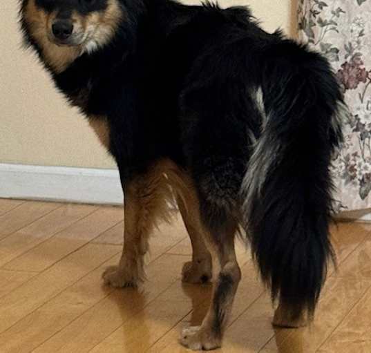 Photo of Gunnar