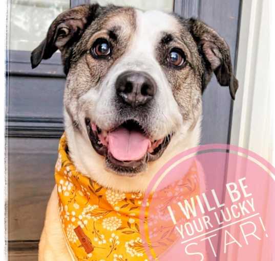Photo of Star
