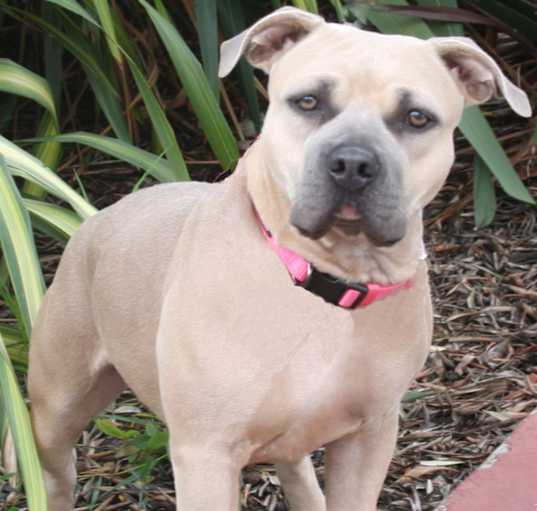 Photo of Athena