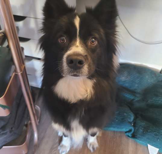 Photo of Nyla