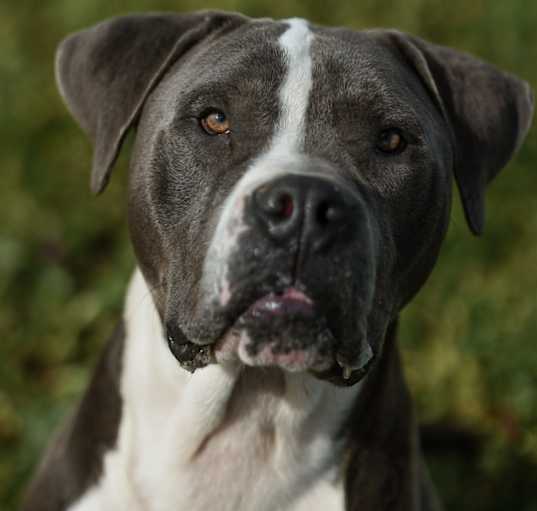 Photo of Mator
