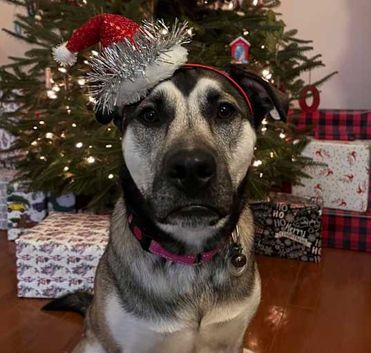 Photo of Millie May
