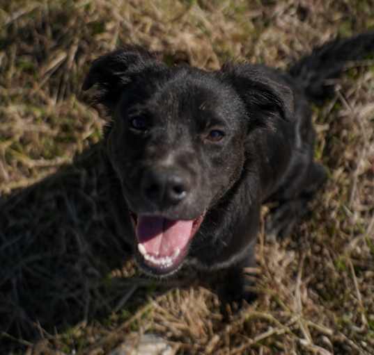 Photo of Yoshi