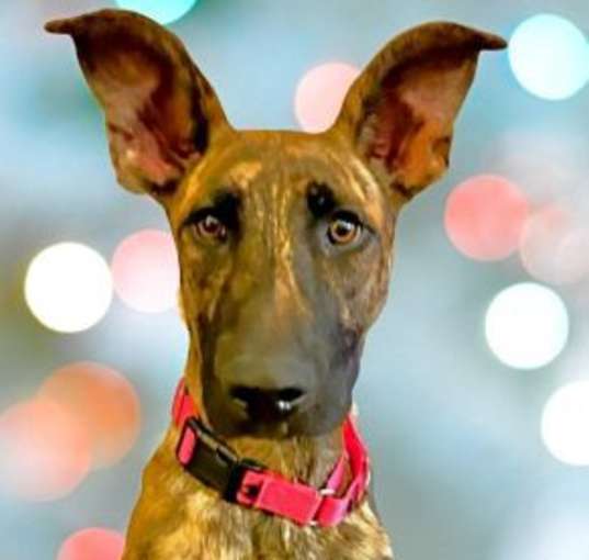 Photo of Oaklyn