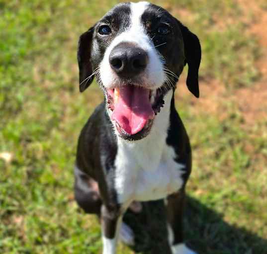 Photo of Poe